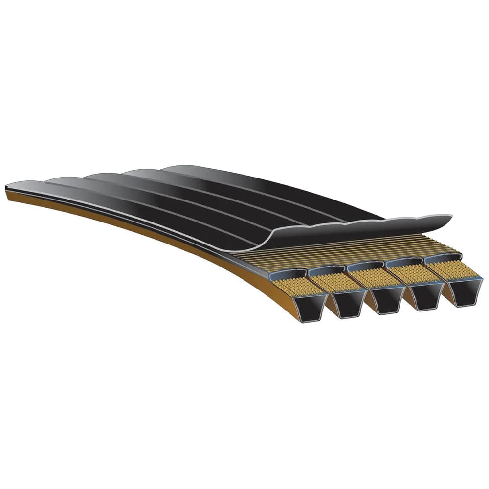 Render de la correa Gates Predator PowerBand